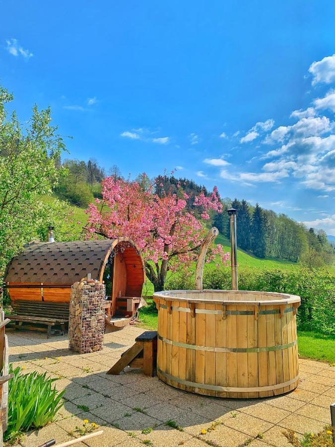 Hotel Garni Wieshof Кирхберг Экстерьер фото